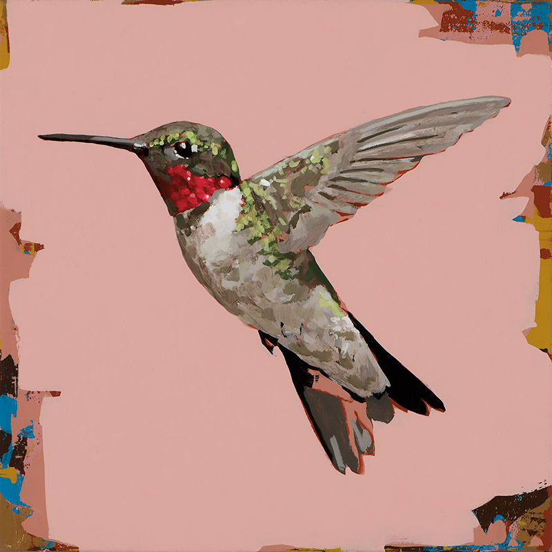Hummingbird #50, painting by Los Angeles artist David Palmer, acrylic on canvas, art